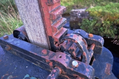 Developed using darktable 2.6.0