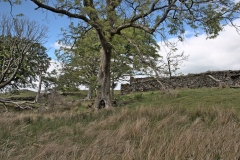 Developed using darktable 3.0.1