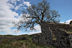 Developed using darktable 3.0.1