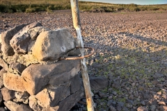 Developed using darktable 3.0.1