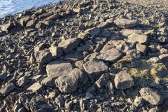 PXL_20210607_185659487