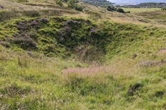 PXL_20220804_160323122.MP_