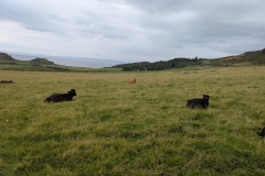 PXL_20250810_143625203