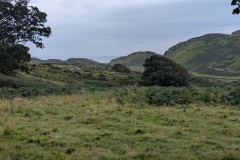 PXL_20250810_150033718