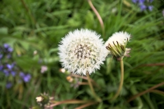 Developed using darktable 3.0.1