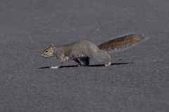 Developed using darktable 2.2.5