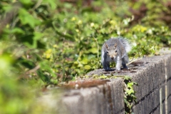 Developed using darktable 2.2.5