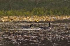 Developed using darktable 2.2.5