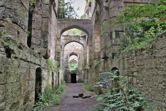 Developed using darktable 3.0.1