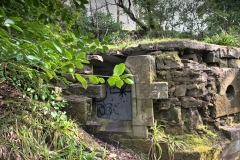 Developed using darktable 3.0.1