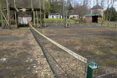 Developed using darktable 2.2.5